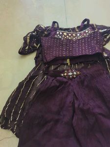 Elegant Ethnic Palazzo Blouse Set