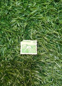 **Rare &amp; Unique Stamp Collection for Sale**