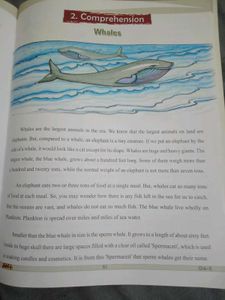 English Grammar - Class 5