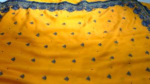 Yellow Saree with Silver Embroidery