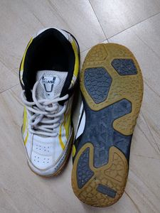 Sport Shoes