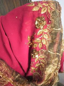 Tissue Embroidered Saree