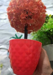 3 Combo Set Of Mini Pot With Decorative Plants