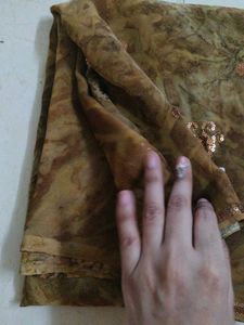 Blue &amp; Black Striped Saree