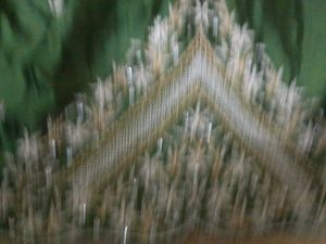 Lehenga Choli Unused