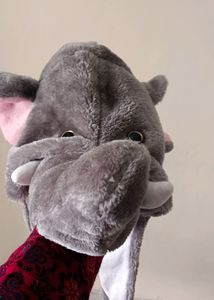 Fancy Elephant Cap