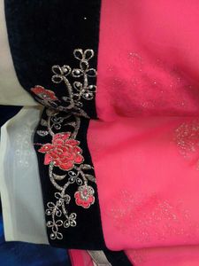 Coral Embroidered Saree