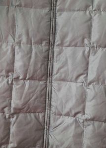 GAP JACKET