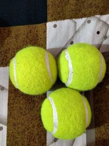 Elan Tennis ball Pack of 3