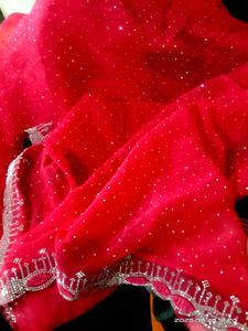 Stone Work Sari,Jo Colour Pic M Dikh Rha H Vhi .