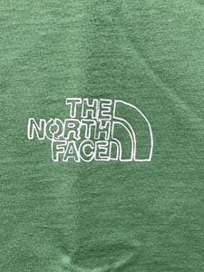The North Face Green Earth Day Graphics TShirt