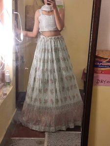 New Pista Color Lehenga Choli Set