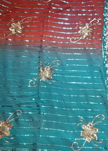Elegant Embellished Saree