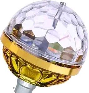2 Pis Bulb