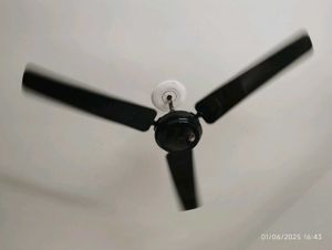 Ceiling Fan