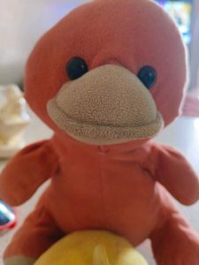 Small Teddy With Sunglass