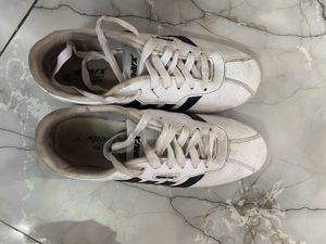 Sparx Men Sneakers