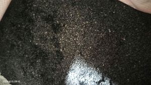 Black sand by Aquarium decoration