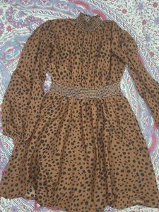Leopard Print Mini Dress