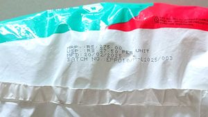 Evereve Period Panties