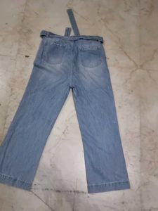 Belted Wide-Leg Denim Pants