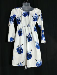 White And Blue Floral Printed Dress (Women)