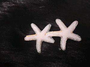 Starfish and Aurora Petal Clips
