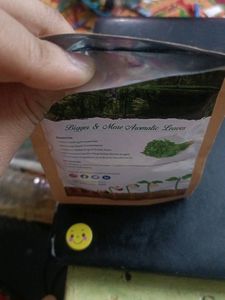 Coriander Seeds / Plant New Pack Himalayan organic