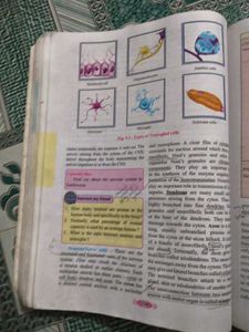 11 And 12 Textbook Maharashtra Board