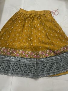 Ethnic lehnga and blouse