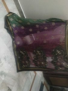 Bright Colour Saree.