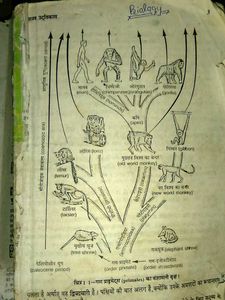 Class 10th Biology Book