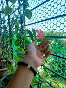 Bracelet<3 Combo