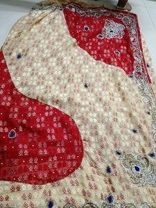 Elegant Embellished Sari