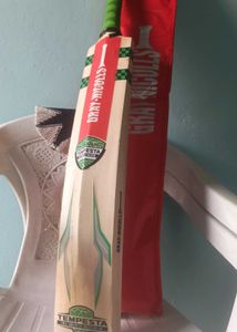 Gray-Nicolls Cricket Bat