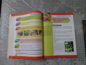 I Explore...A Science Textbook 6 (Cambridge)