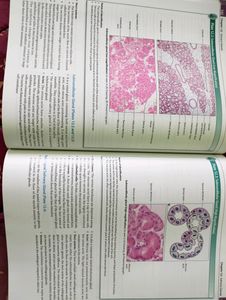Histology Indeer Beer Singh Book