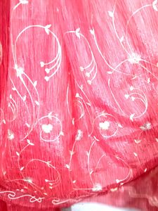 Red Embroidered Dupatta
