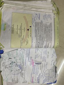 Class 11th Biology NCERT Textbook