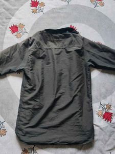 Olive Green Button-Down Shirt