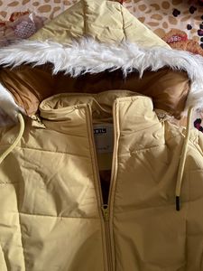 Cute❣️ Pale Yellow Jacket