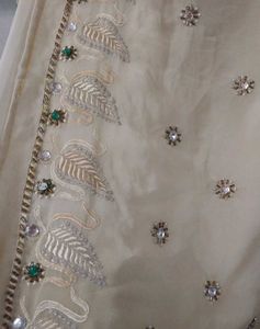 Beautiful Saree
