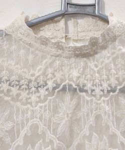 Elegant Lace Top