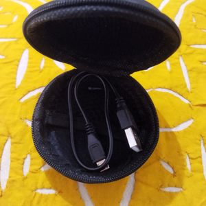 Ptron Earphone Case Cover
