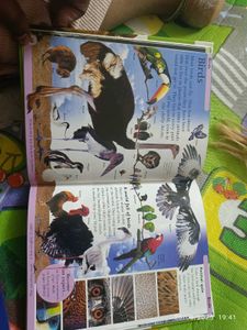 New Animal Encyclopedia