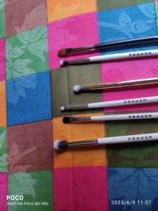 10 Pcs Of Paush beauty Brushes And Storage Bage