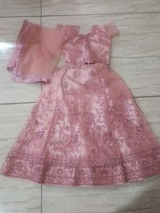 Pink Embellished Skirt