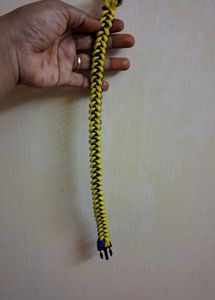 Dog Collar