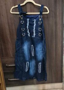 Denim Overall Dress