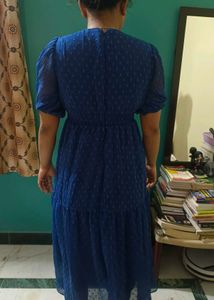 Rare Chiffon Fir And Flare Midi Dress (S)